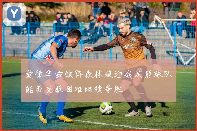 爱德华兹缺阵森林狼迎战灰熊球队能否克服困难继续争胜