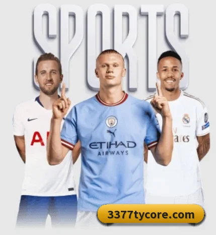 了解平台 - 体育资讯内容服务 - 3377Sports