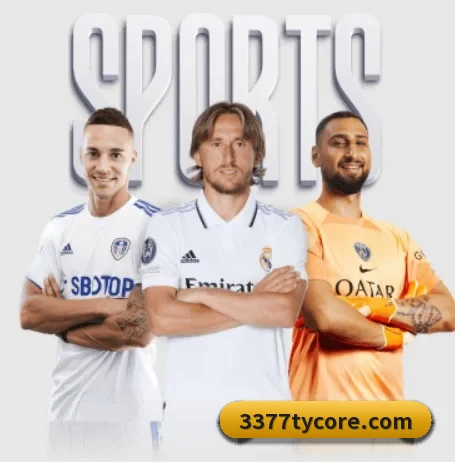 五大服务分区,信息按项目分类 - 3377Sports