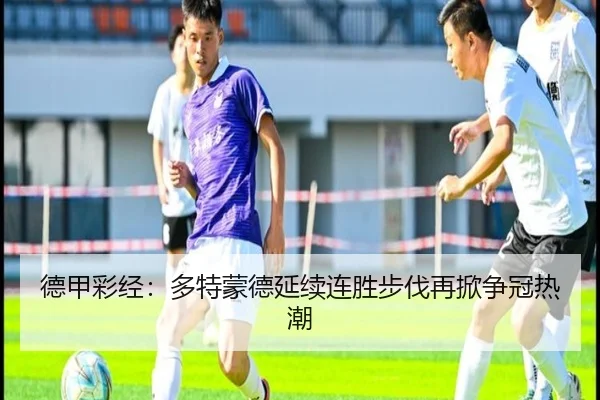德甲彩经：多特蒙德延续连胜步伐再掀争冠热潮 | 3377Sports